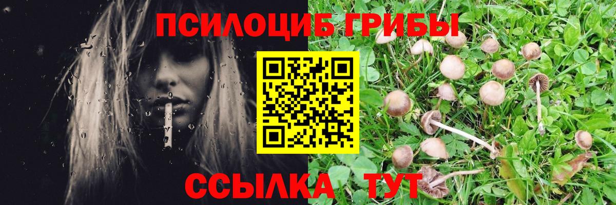 Псилоцибиновые грибы ЛСД  Вход с VPN  Псилоцибиновые грибы Psilocybe  Коркино 